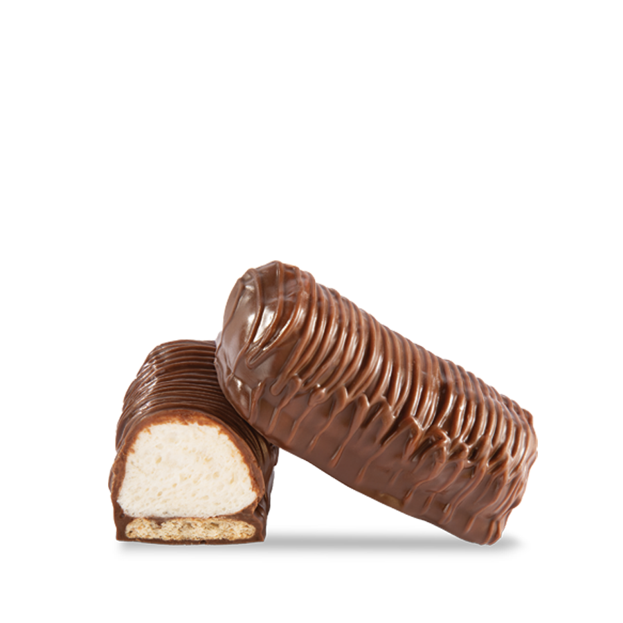 Fall - Milk Chocolate Covered S'more 1pc